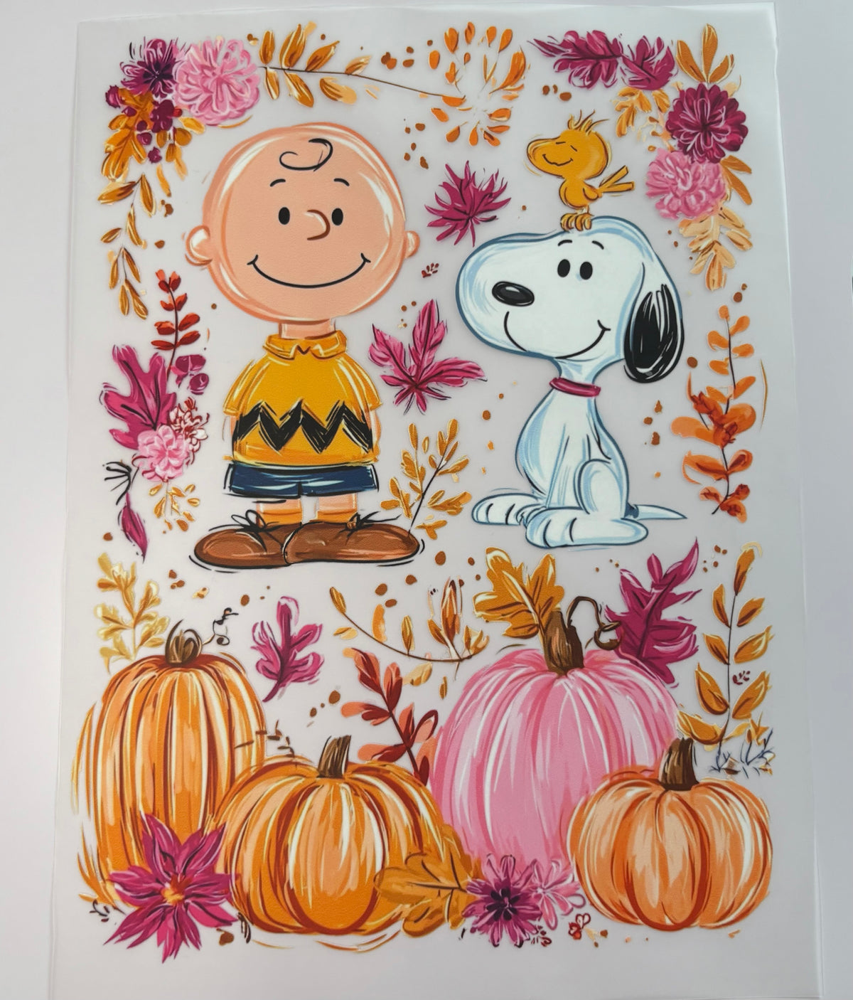 Charlie & Snoopy